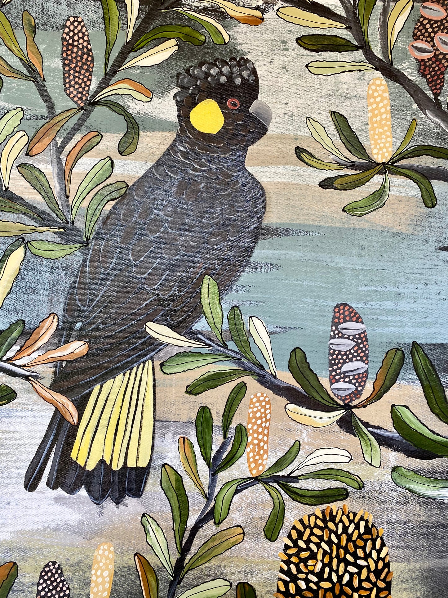 Black Cockatoo