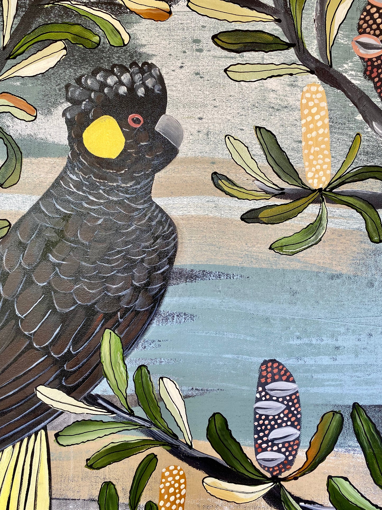 Black Cockatoo