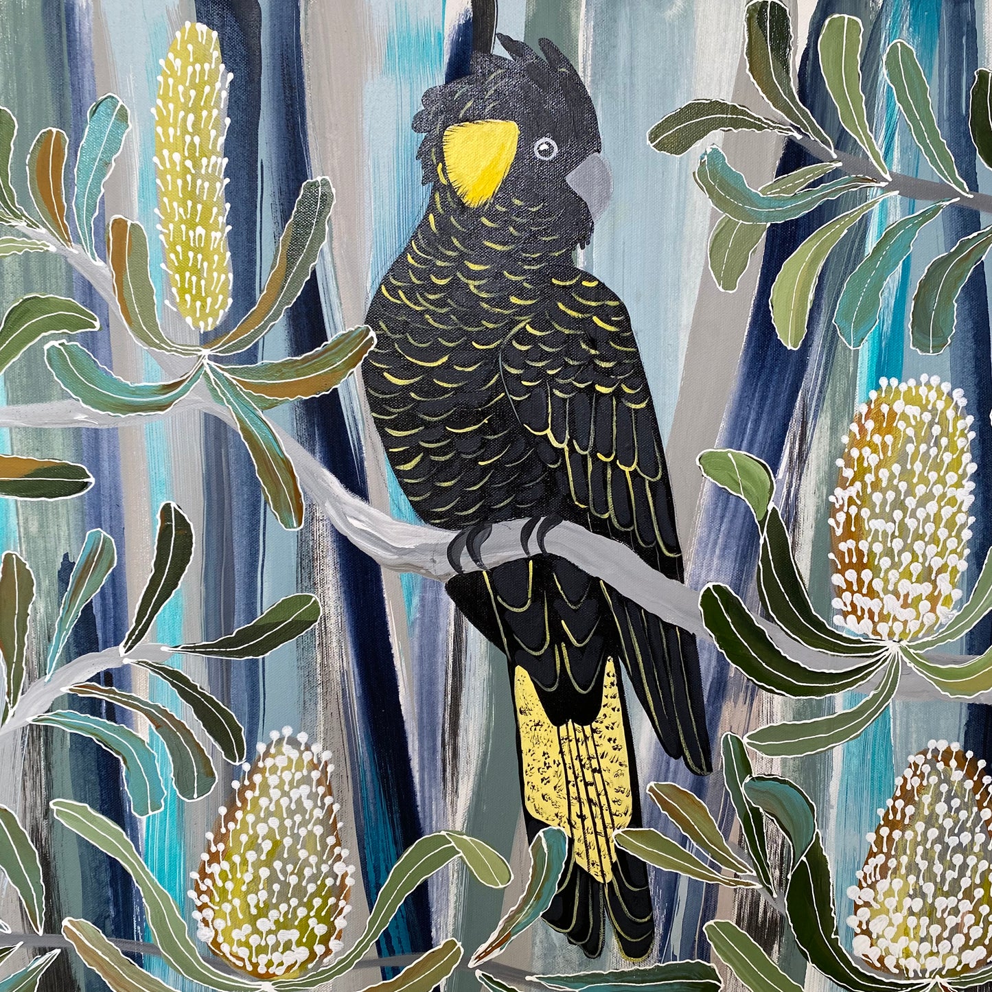 Yellow Tailed Black Cockatoos