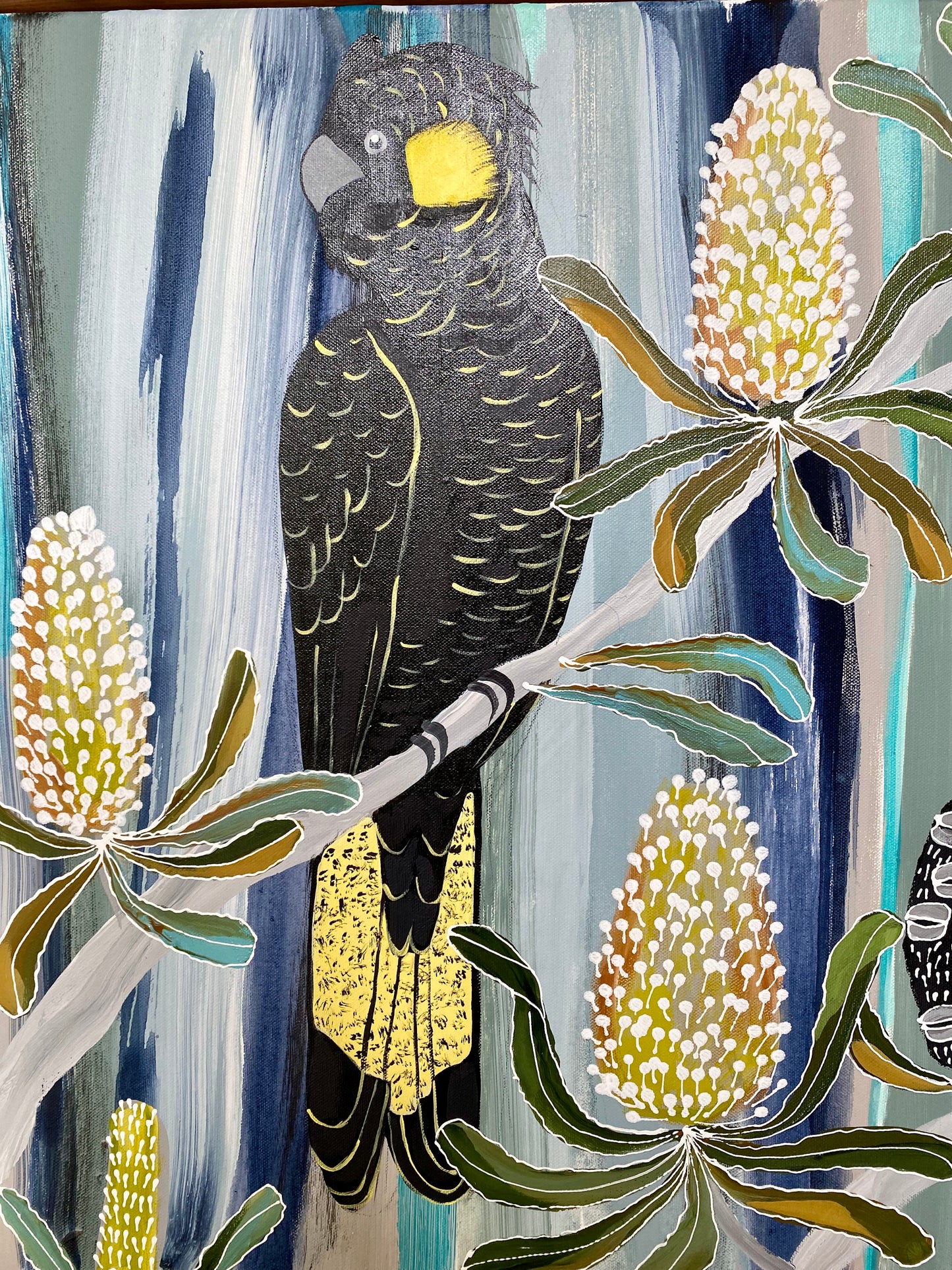 Yellow Tailed Black Cockatoos
