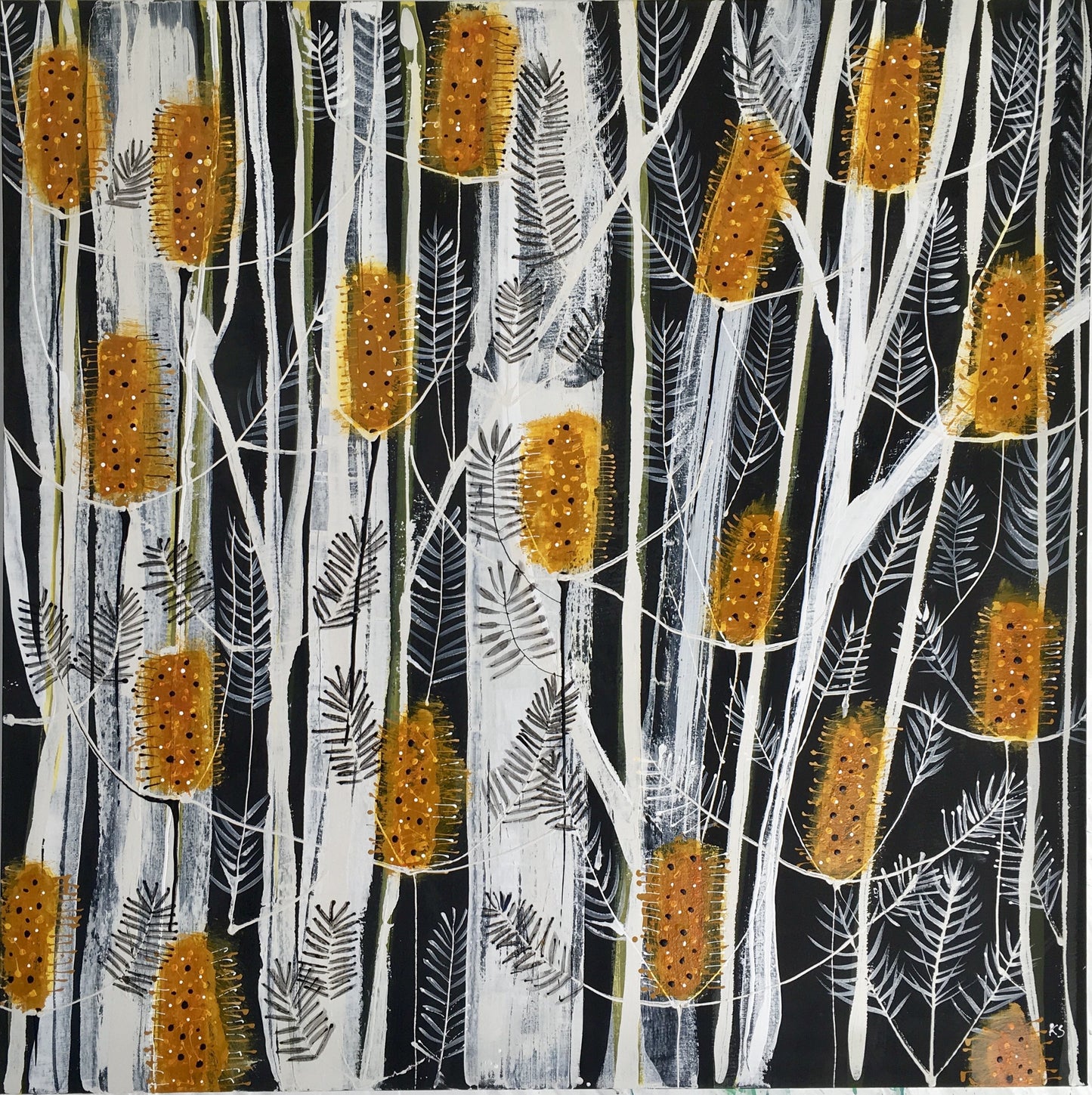 Banksia with Dark Sky