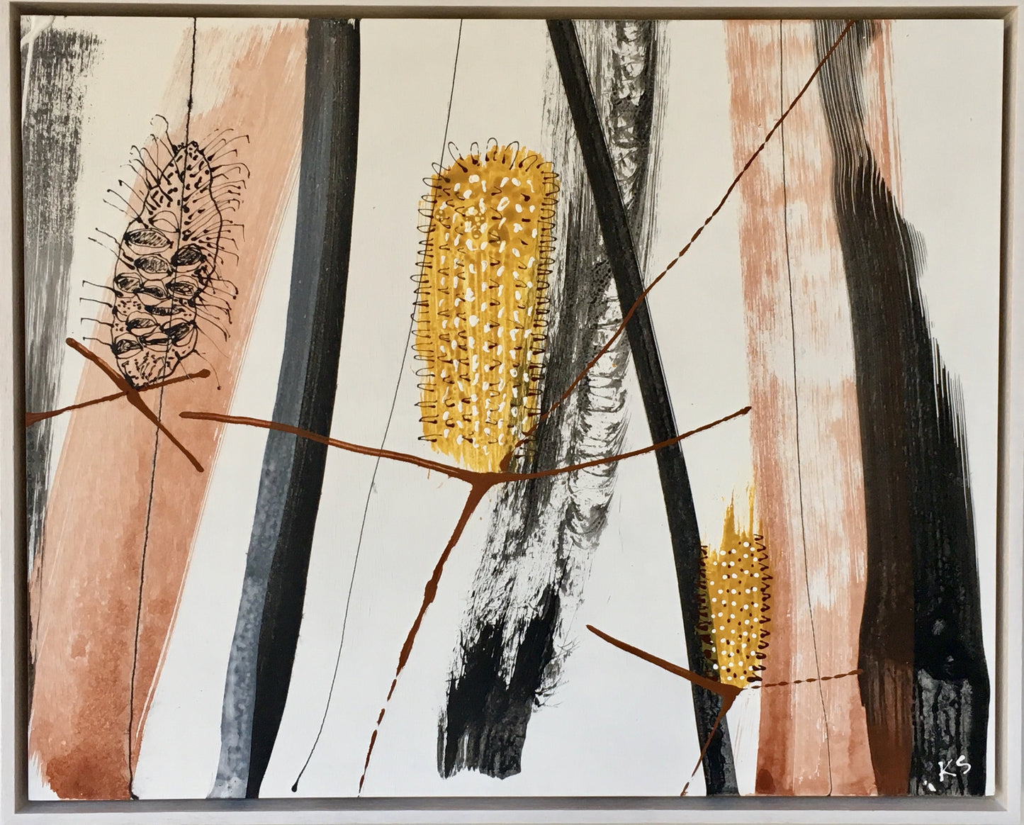 Australian Sienna Banksia