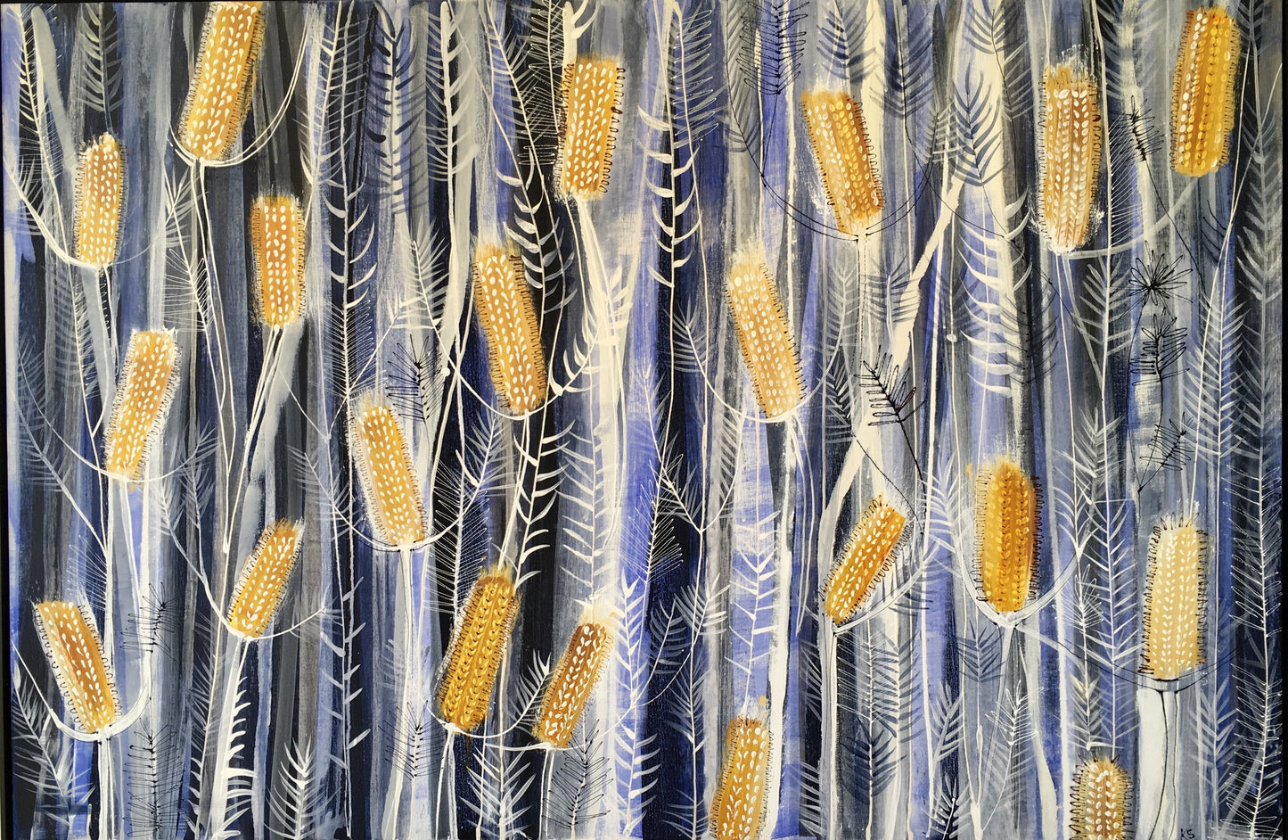 Blue Mountains Banksia