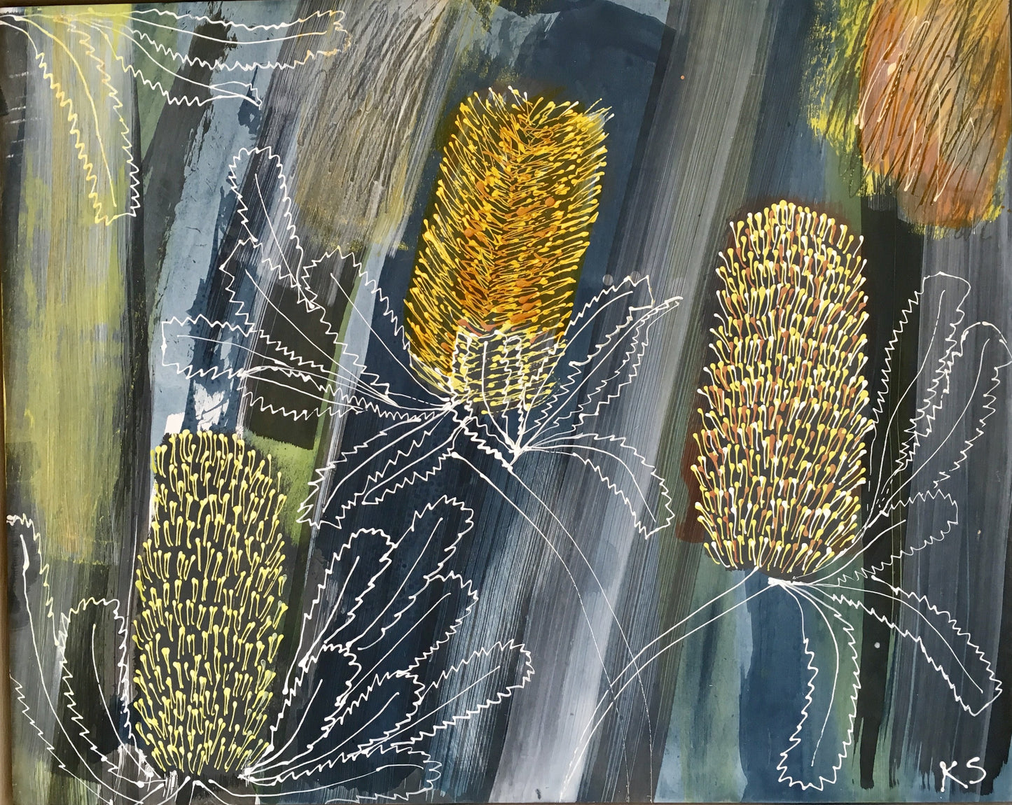 Beach Banksia