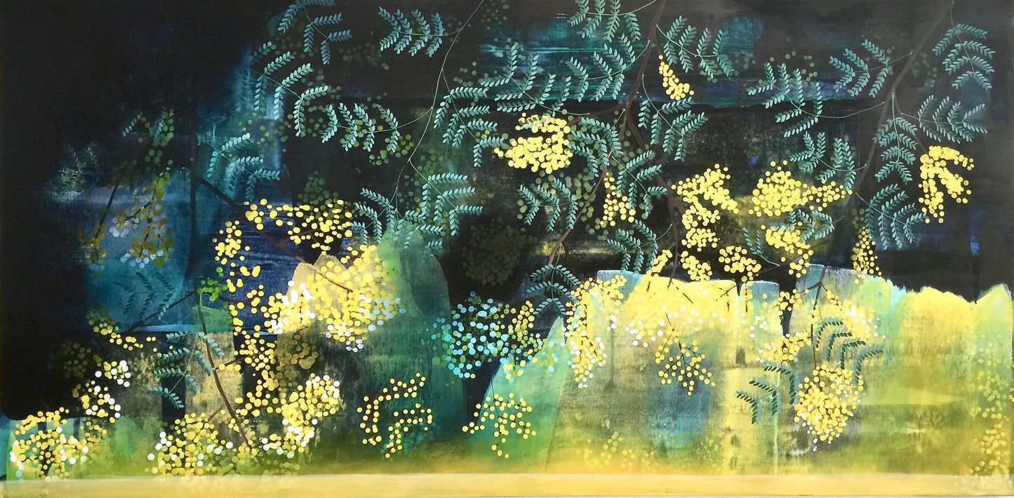 Acacia Radiance
