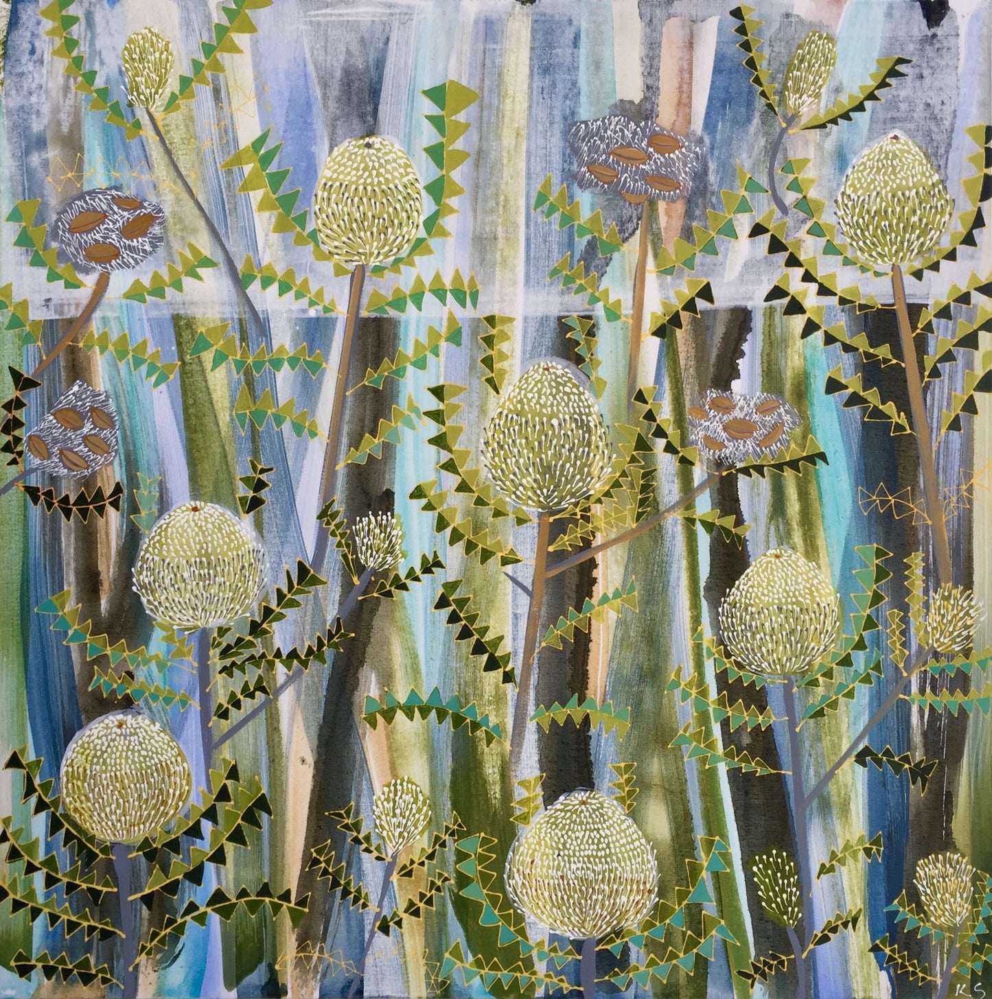 Bird's Nest Banksia #1