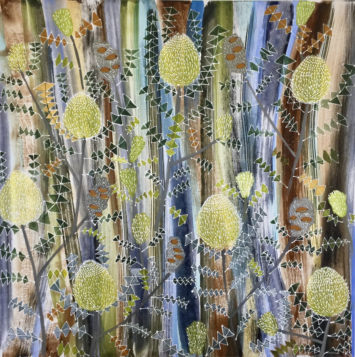 Bird's Nest Banksia #2