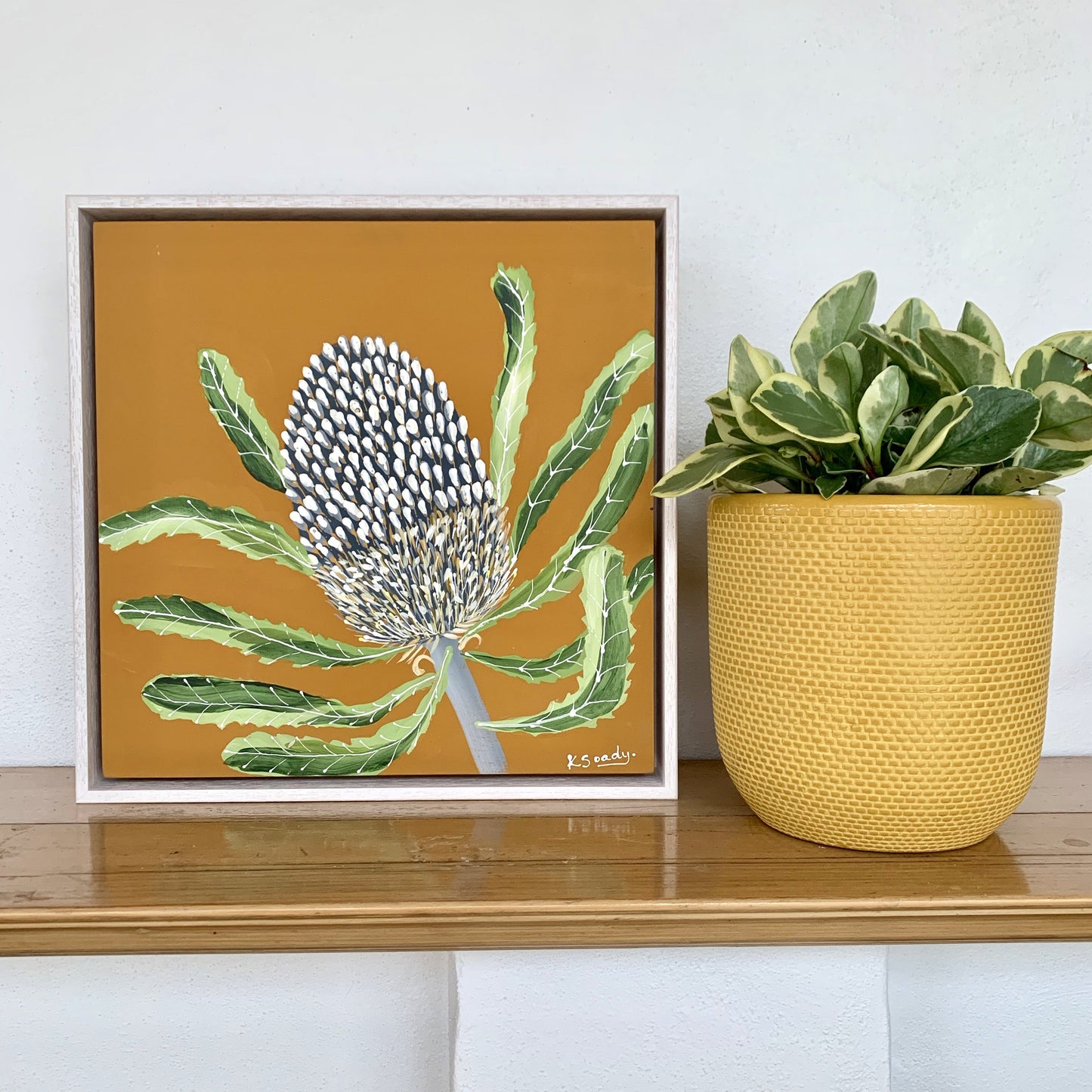 Banksia Mini #11
