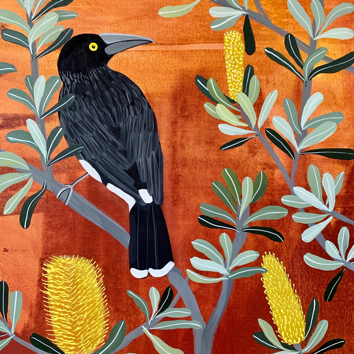 Currawong Couple