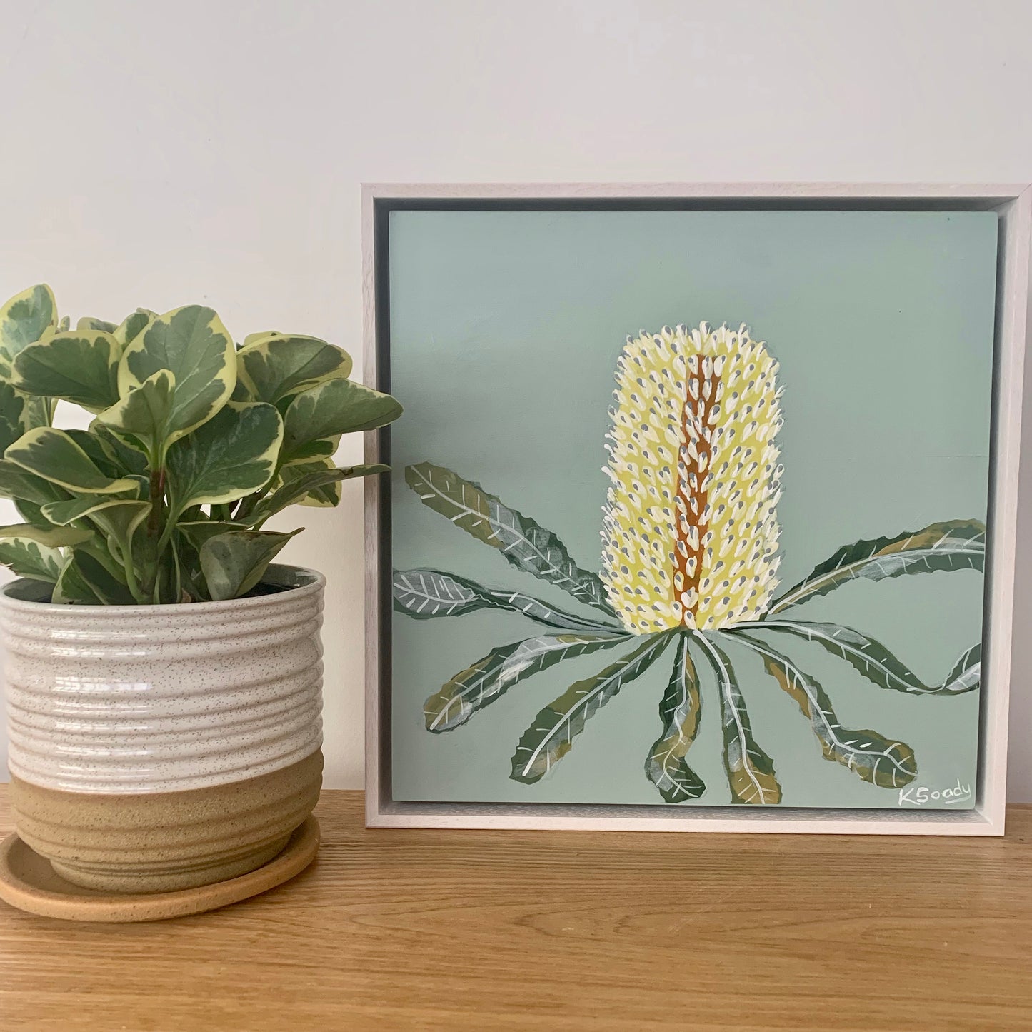 Banksia Mini #15