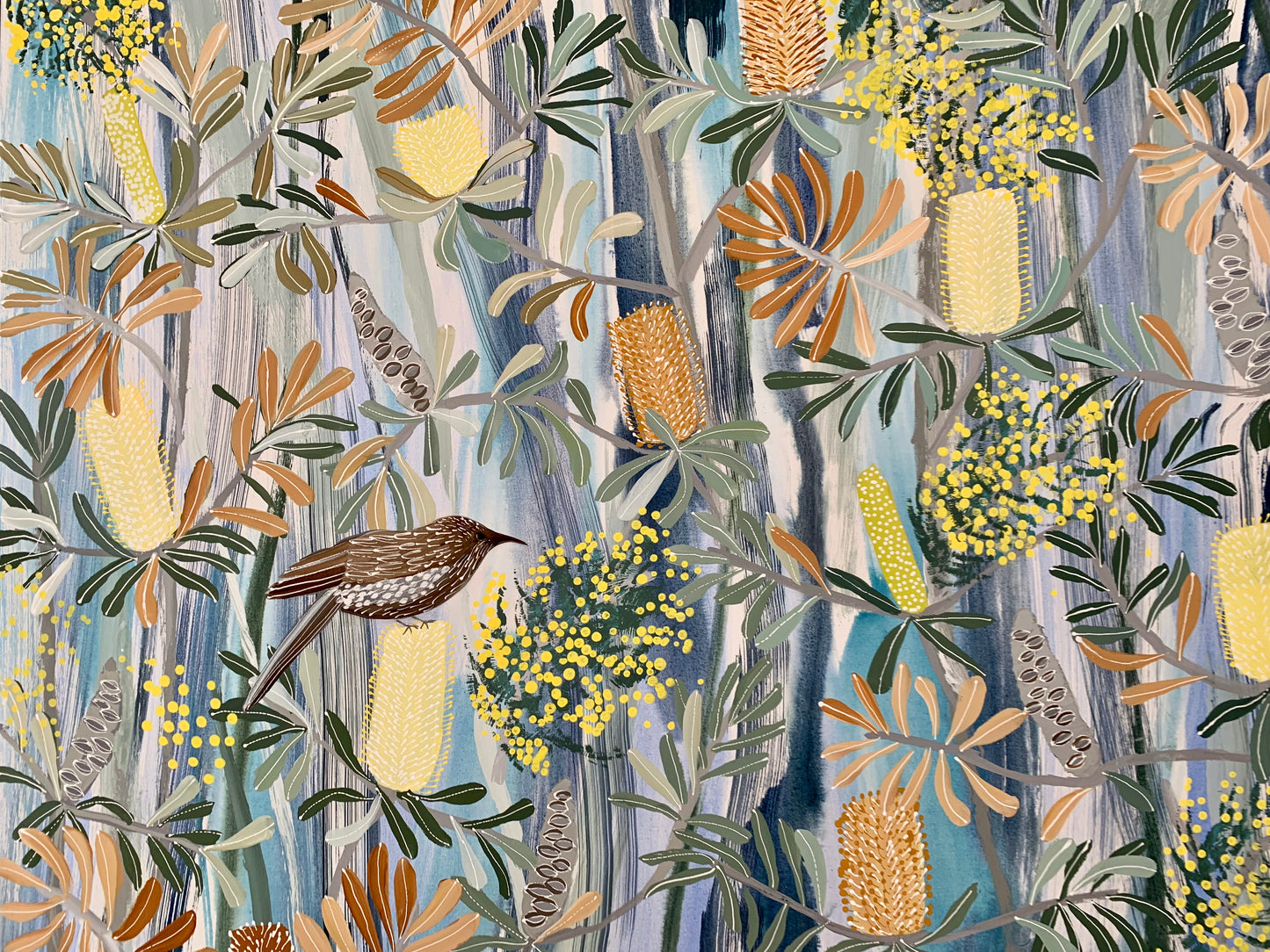 Acacia and the Wattlebird