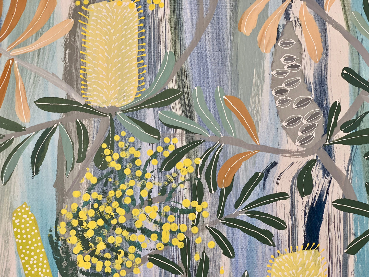 Acacia and the Wattlebird