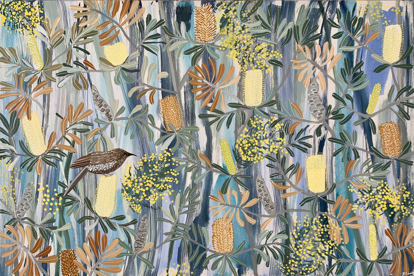 Acacia and the Wattlebird