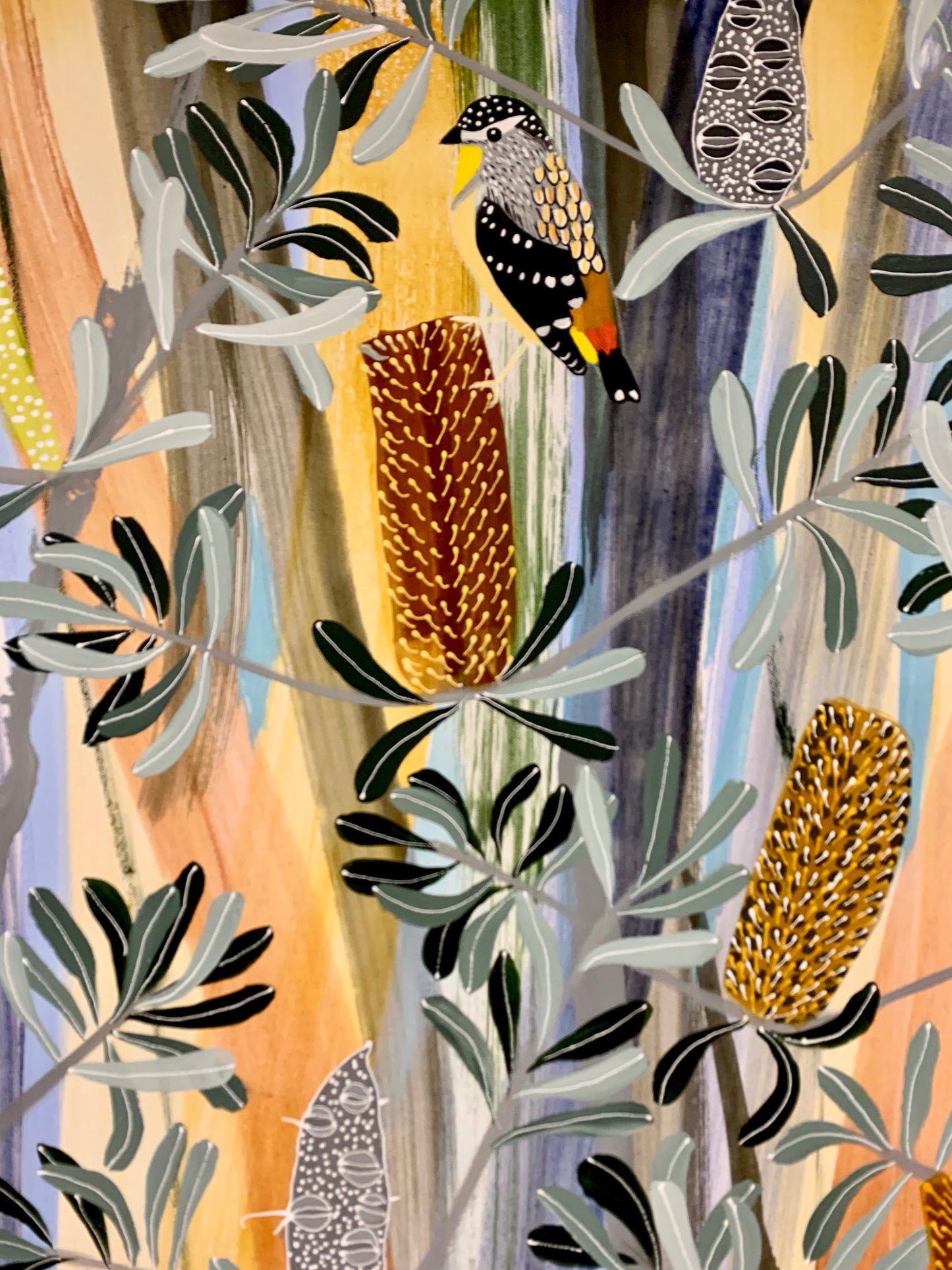 Padalotes in the Banksia