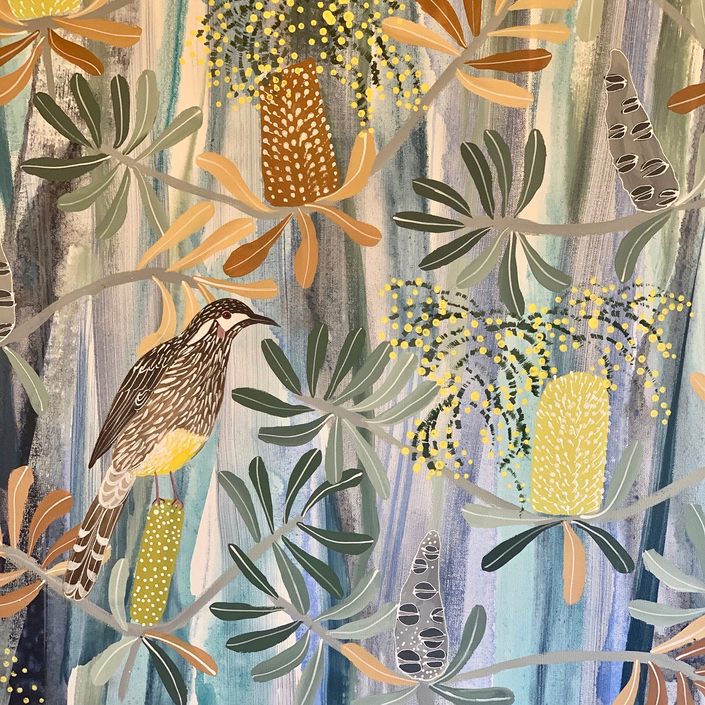 Acacia and the Wattlebirds