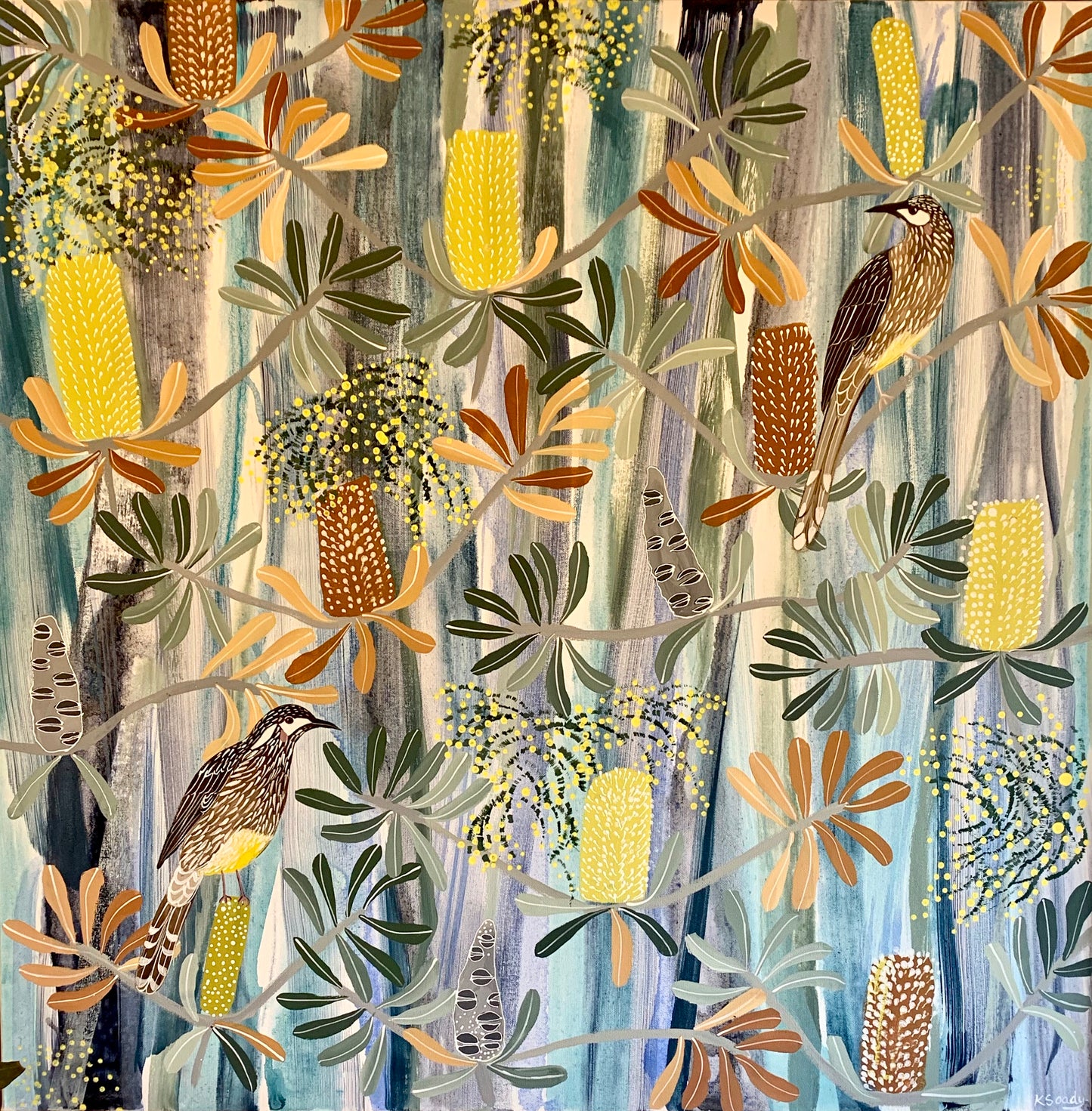 Acacia and the Wattlebirds