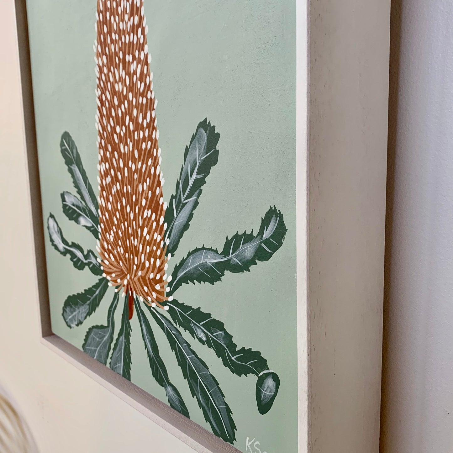 Banksia Mini - Serrata 1
