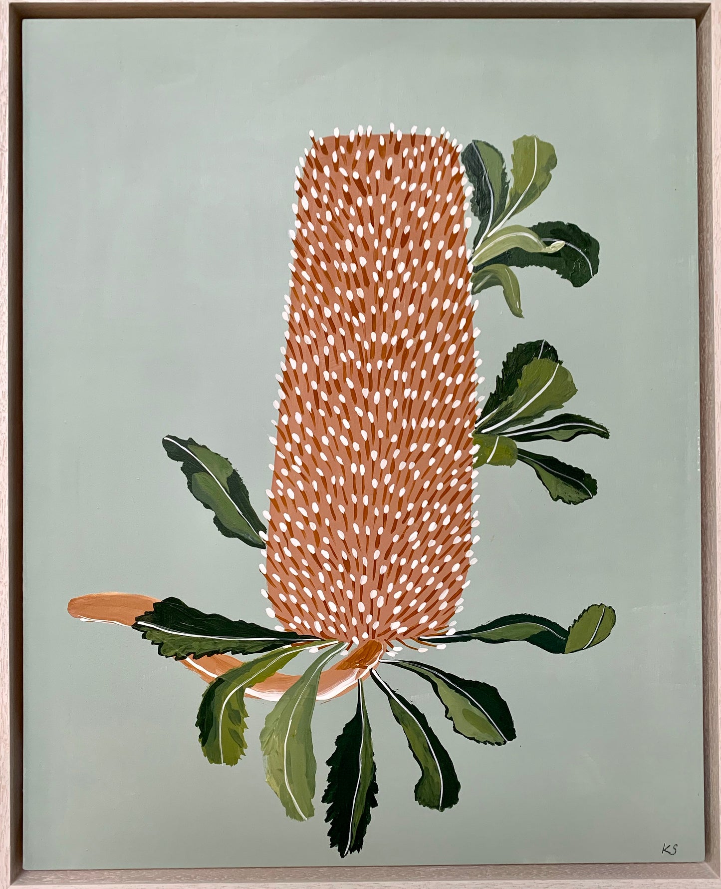 Banksia Mini - Serrata # 4