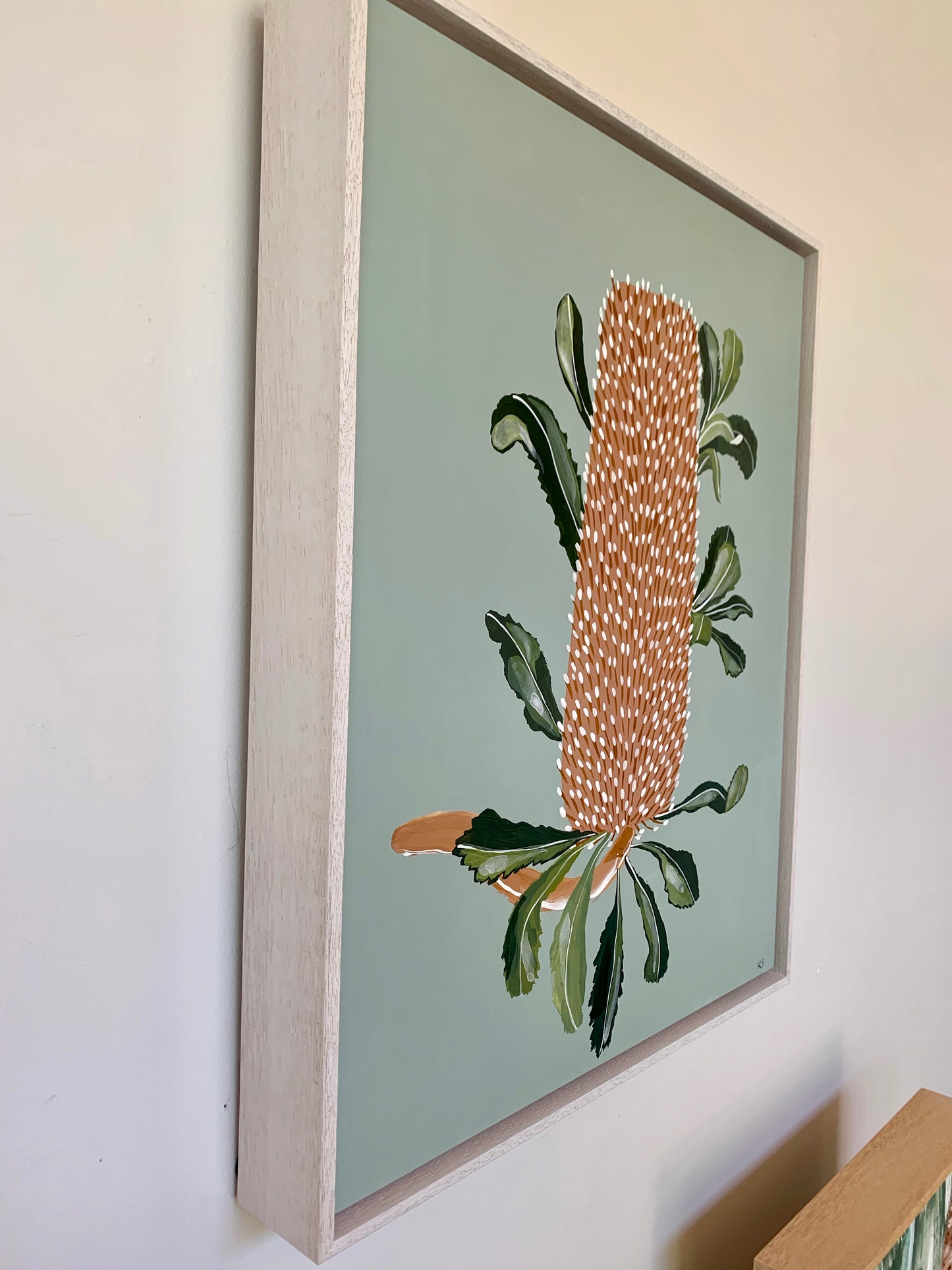 Banksia Mini - Serrata # 4