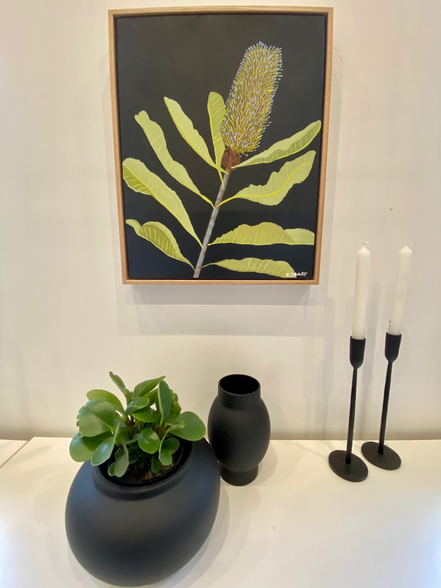 Swamp Banksia