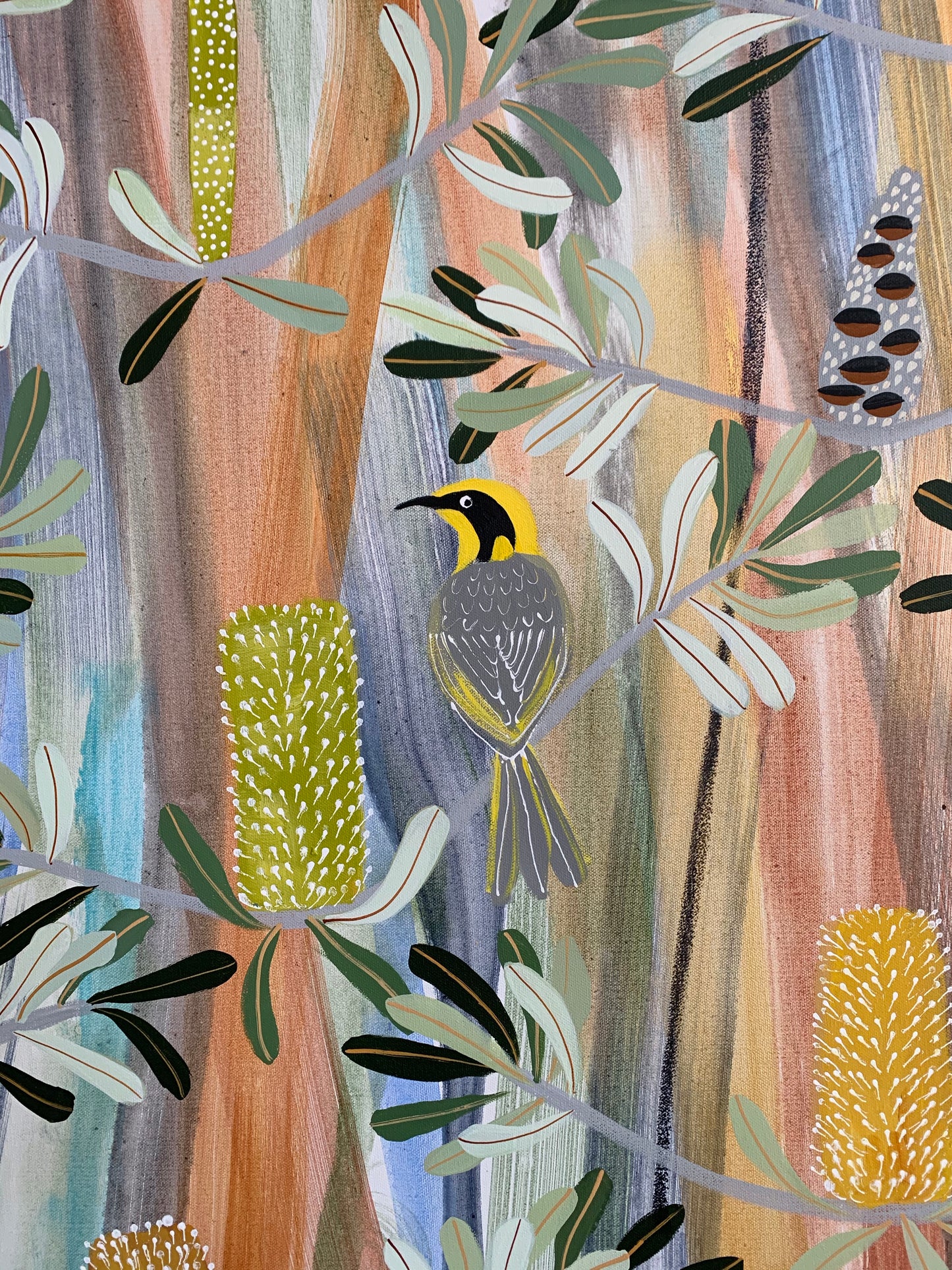 Yellow Honeyeaters in the Banksia
