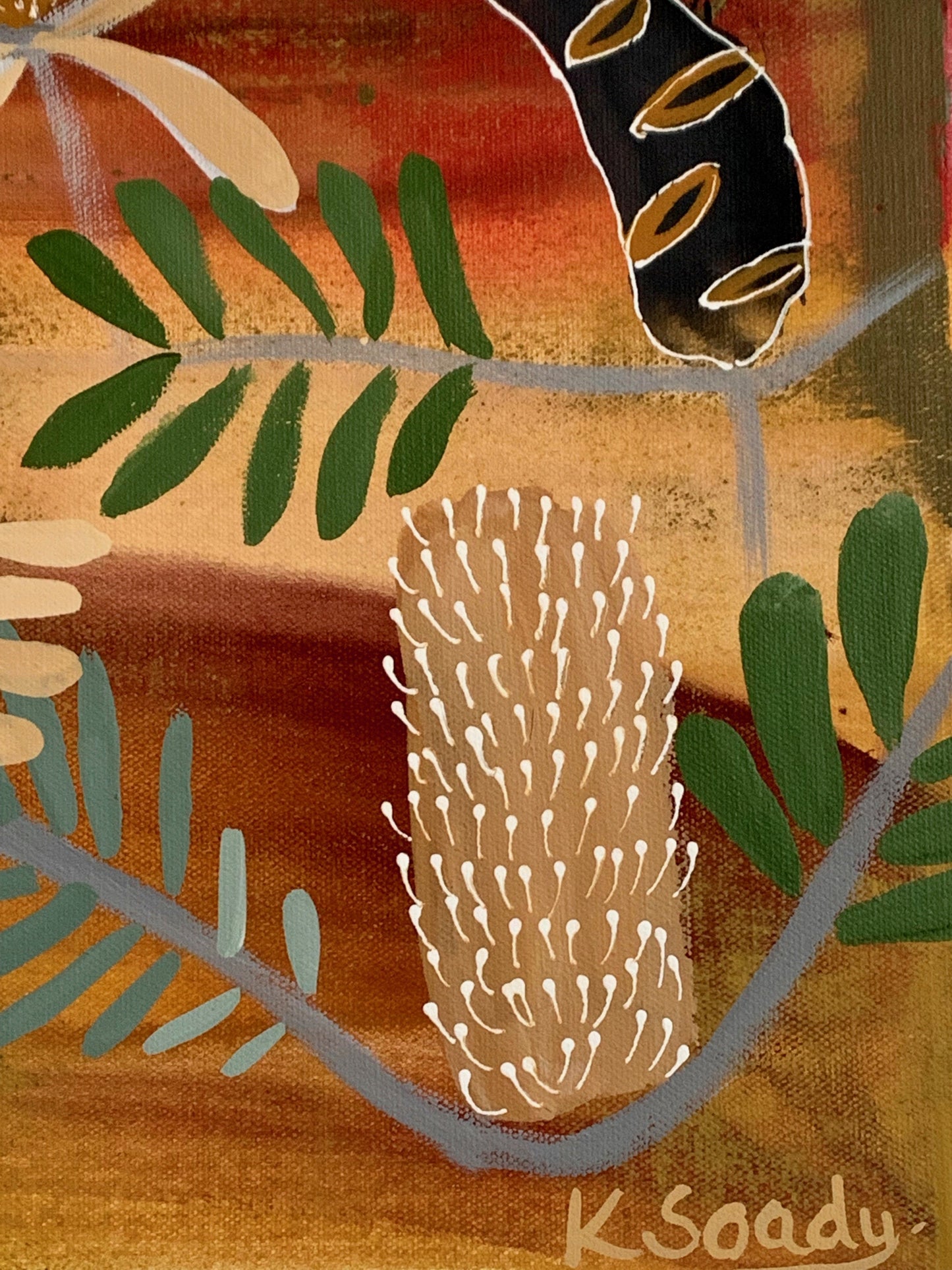 Redtail Finch