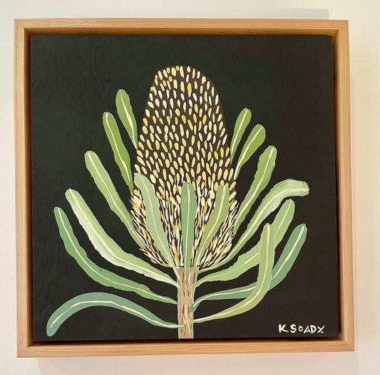 Banksia #11