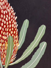 Load image into Gallery viewer, Banksia #12