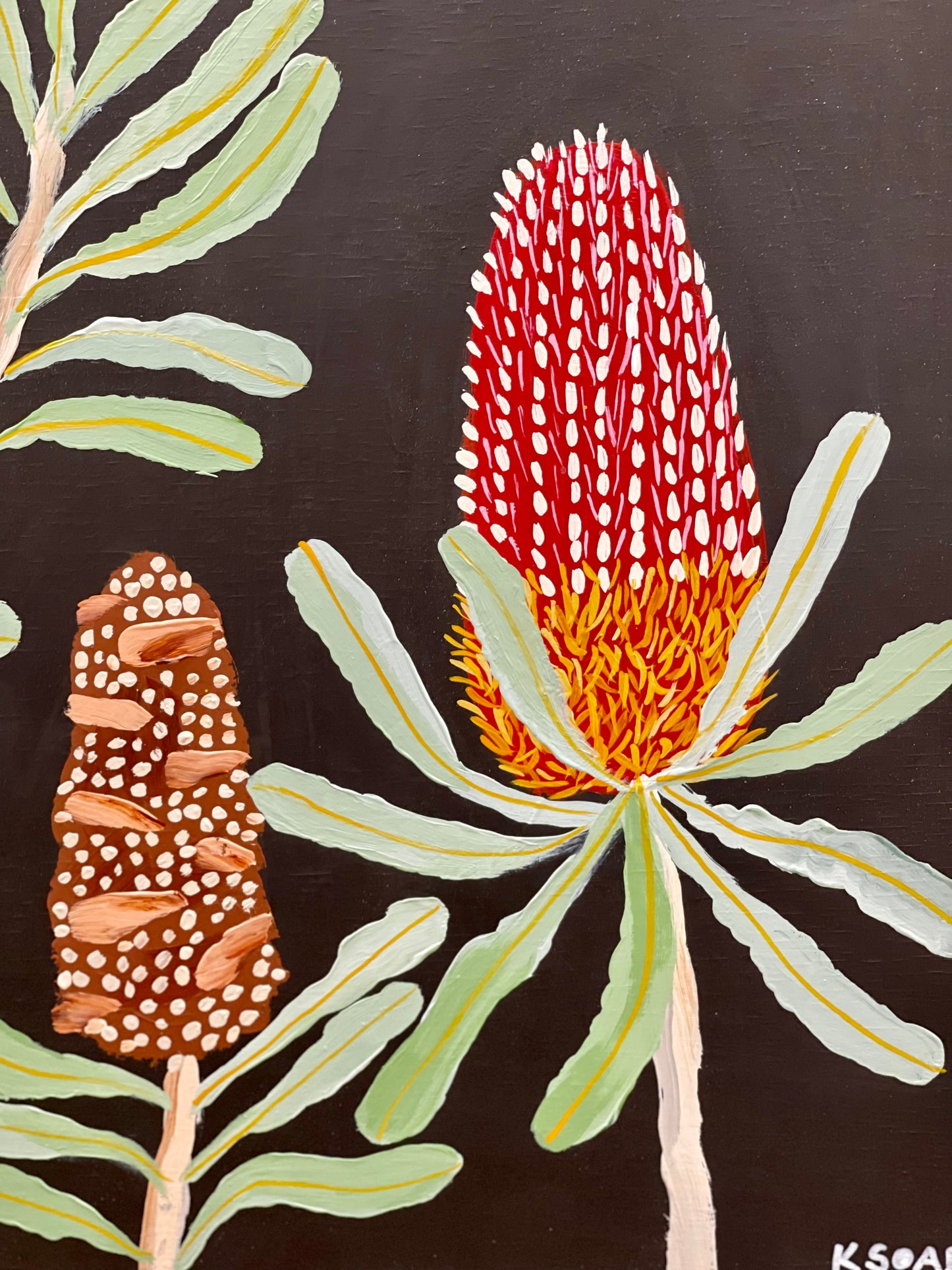 Banksia Trio