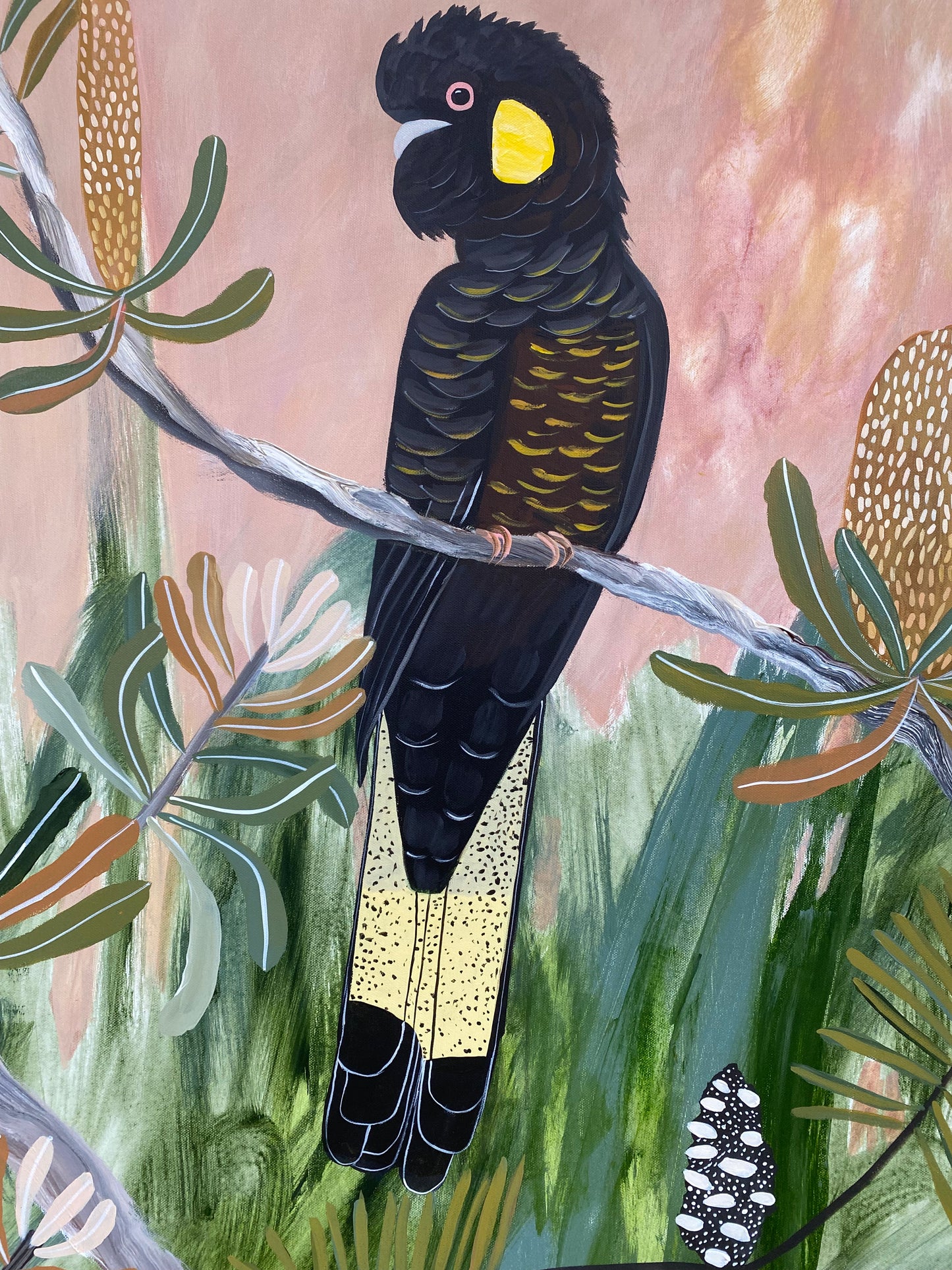 Black Cockatoos at Golden Hour #2