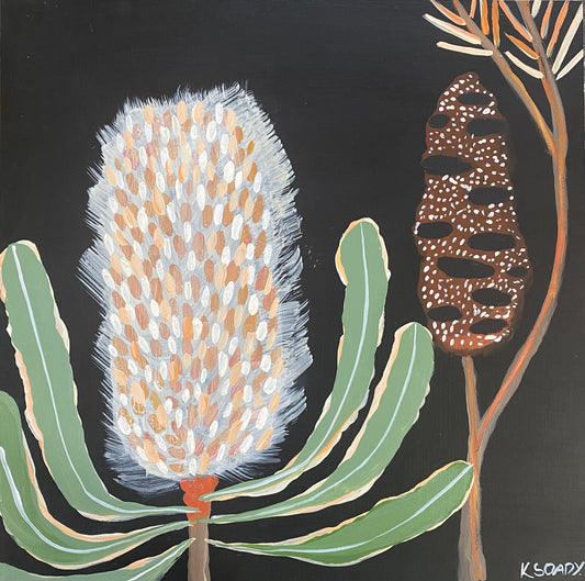 Evening Banksia #3