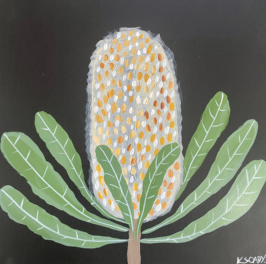Evening Banksia #3