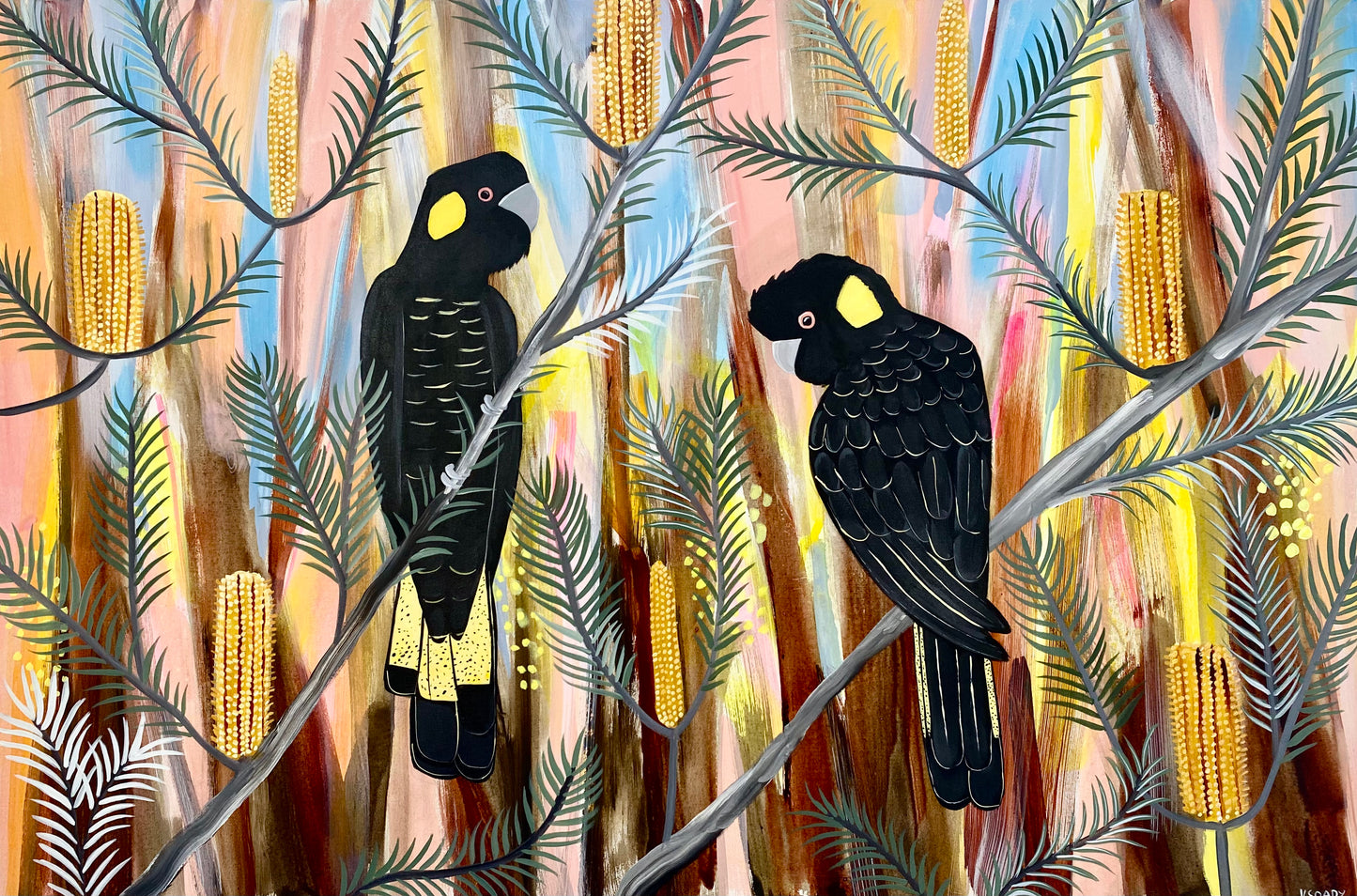 Spring Black Cockatoos #6