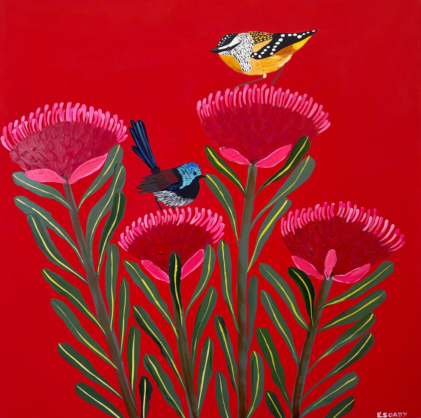 Waratah and Native Birds