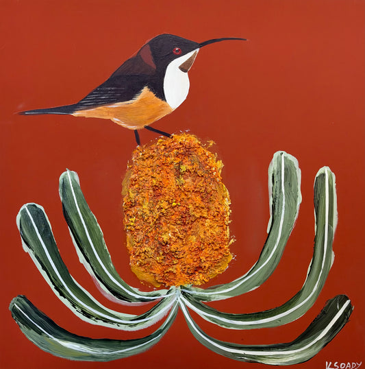 Spinebill and Banksia #2