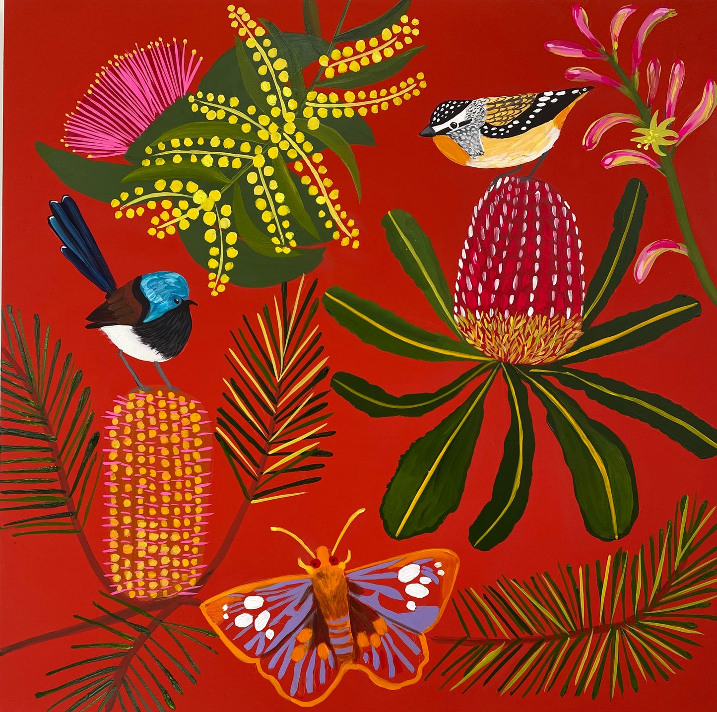 Joyful Natives #7