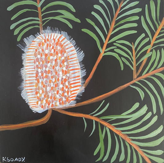 Evening Banksia #2