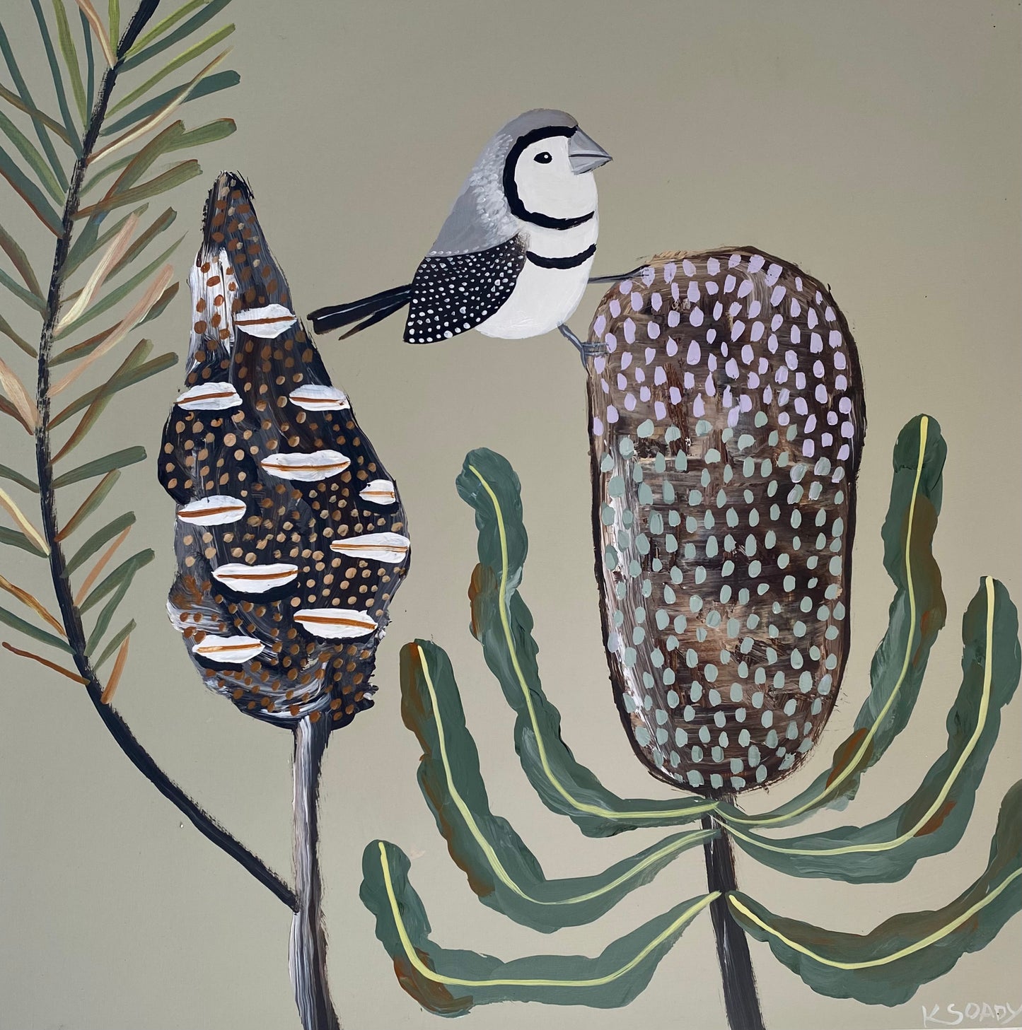 Finch and Banksia #1