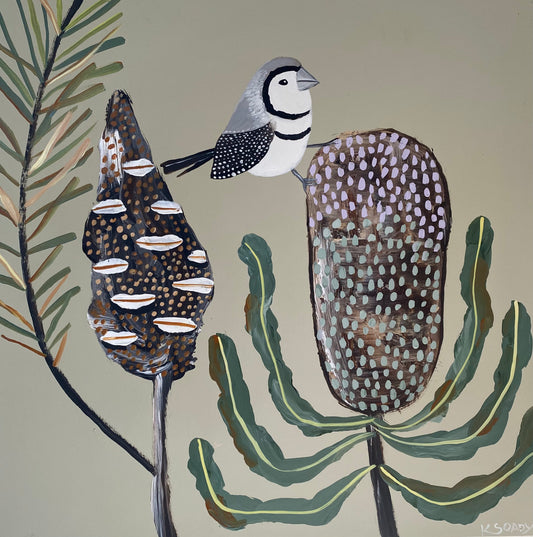 Finch and Banksia #1