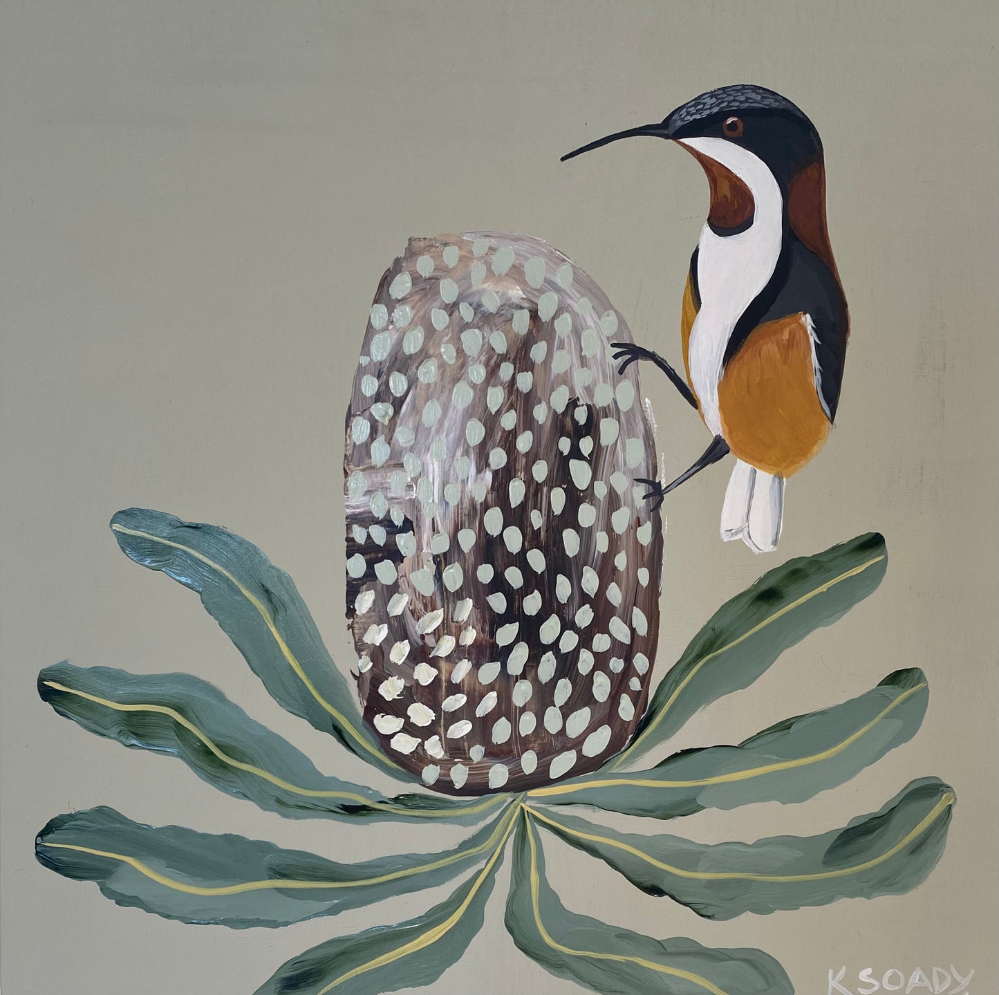 Honeyeater and Banksia #5