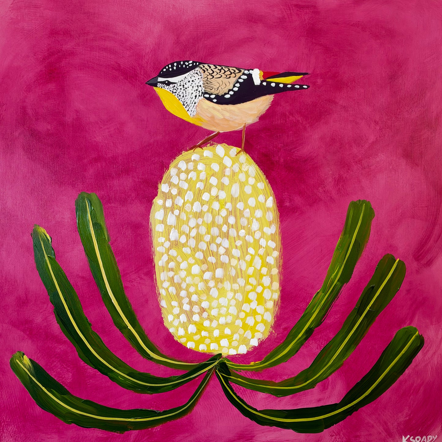 Pardalote & Banksia #2