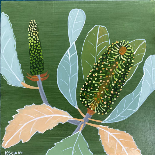 Verdant Banksia #2