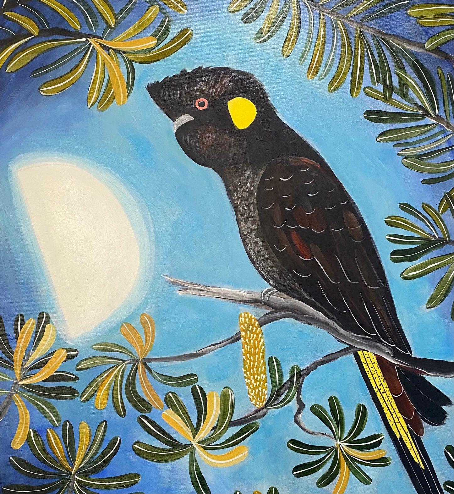 Moonlight Black Cockatoo
