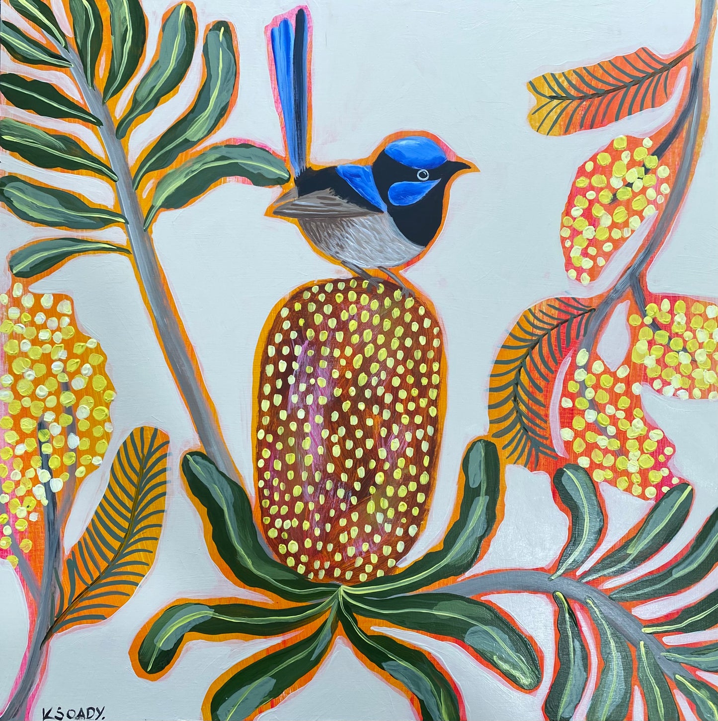 Fairy Wren and Natives #4