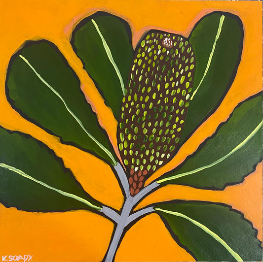Banksia Pop #1