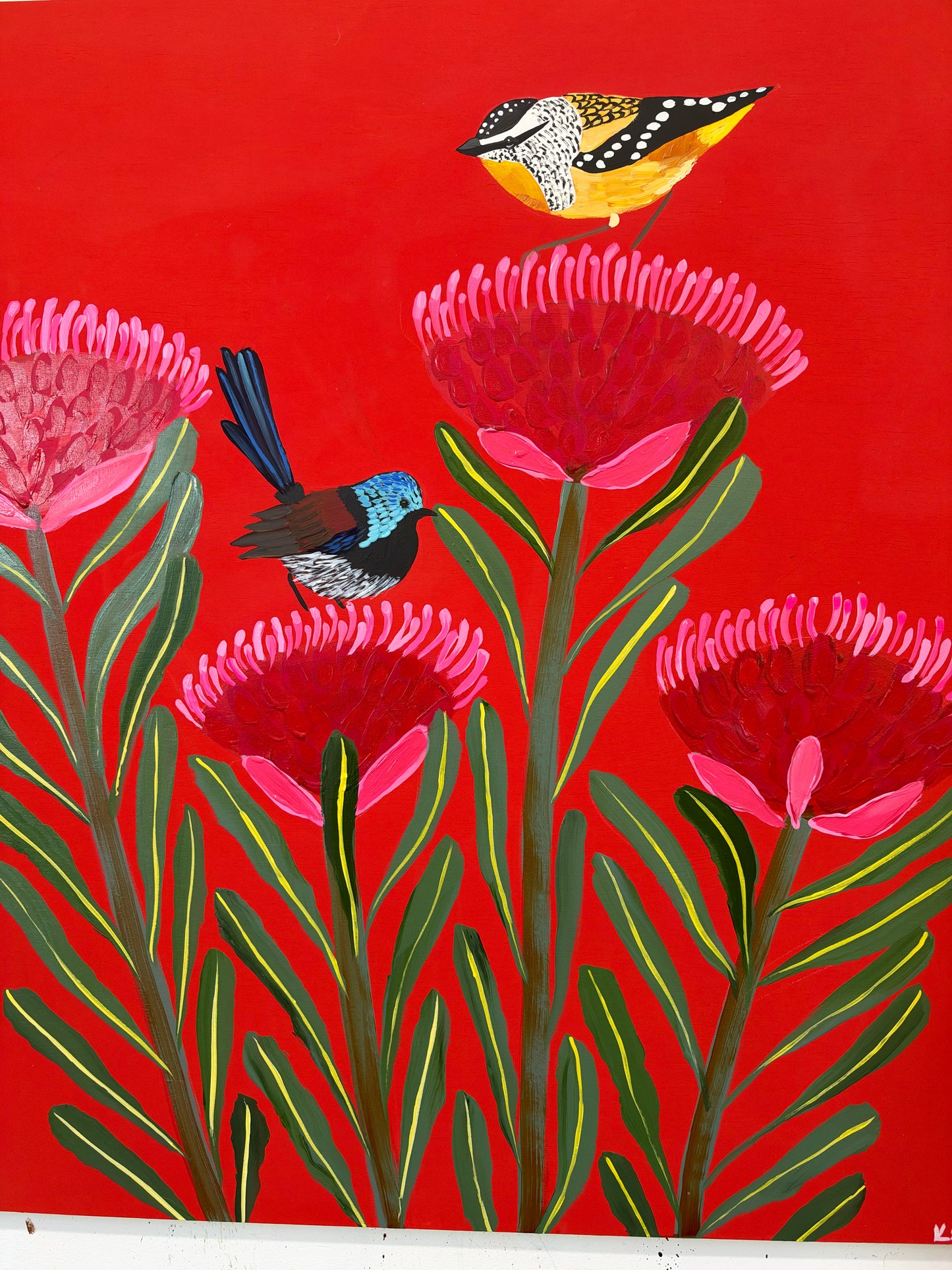 Waratah and Native Birds