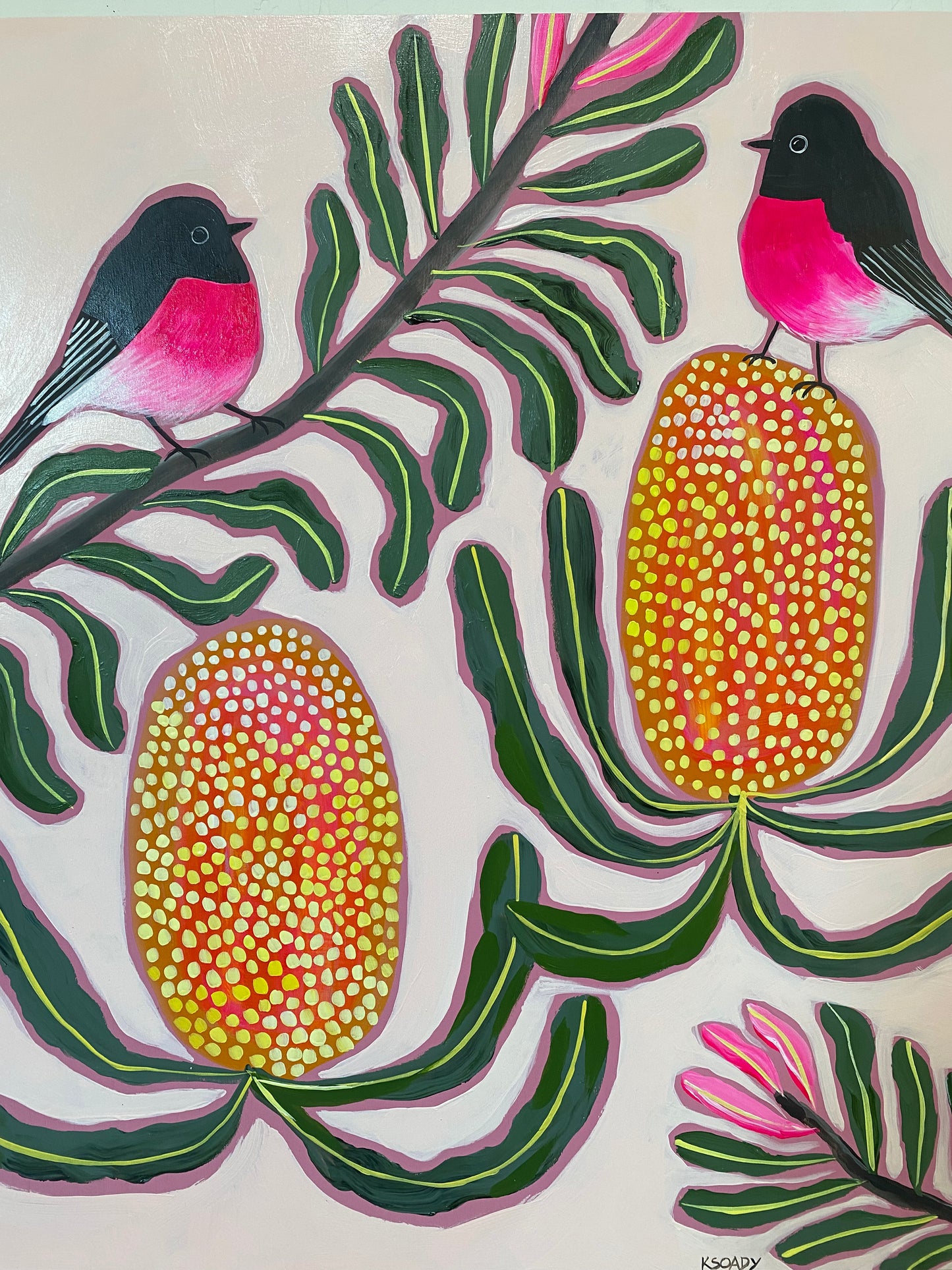 Pink Robins and Banksias