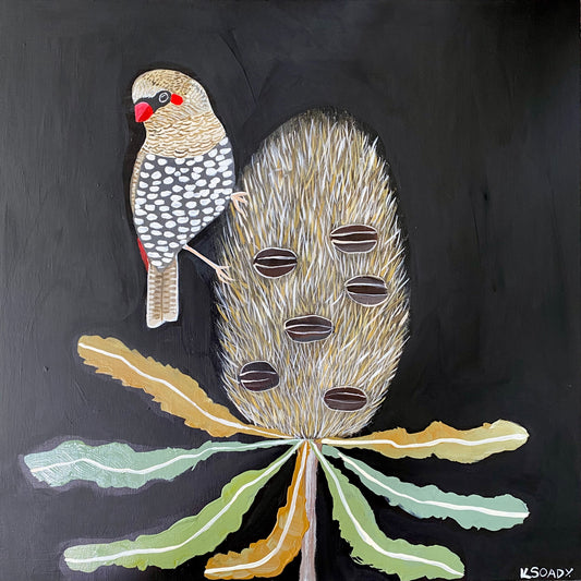 Firetail and Banksia