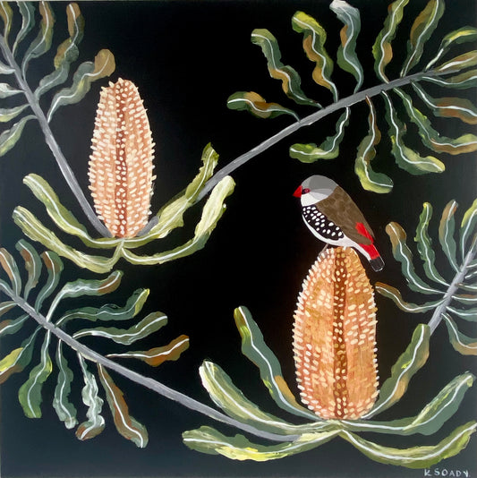 Firetail and Banksias #1