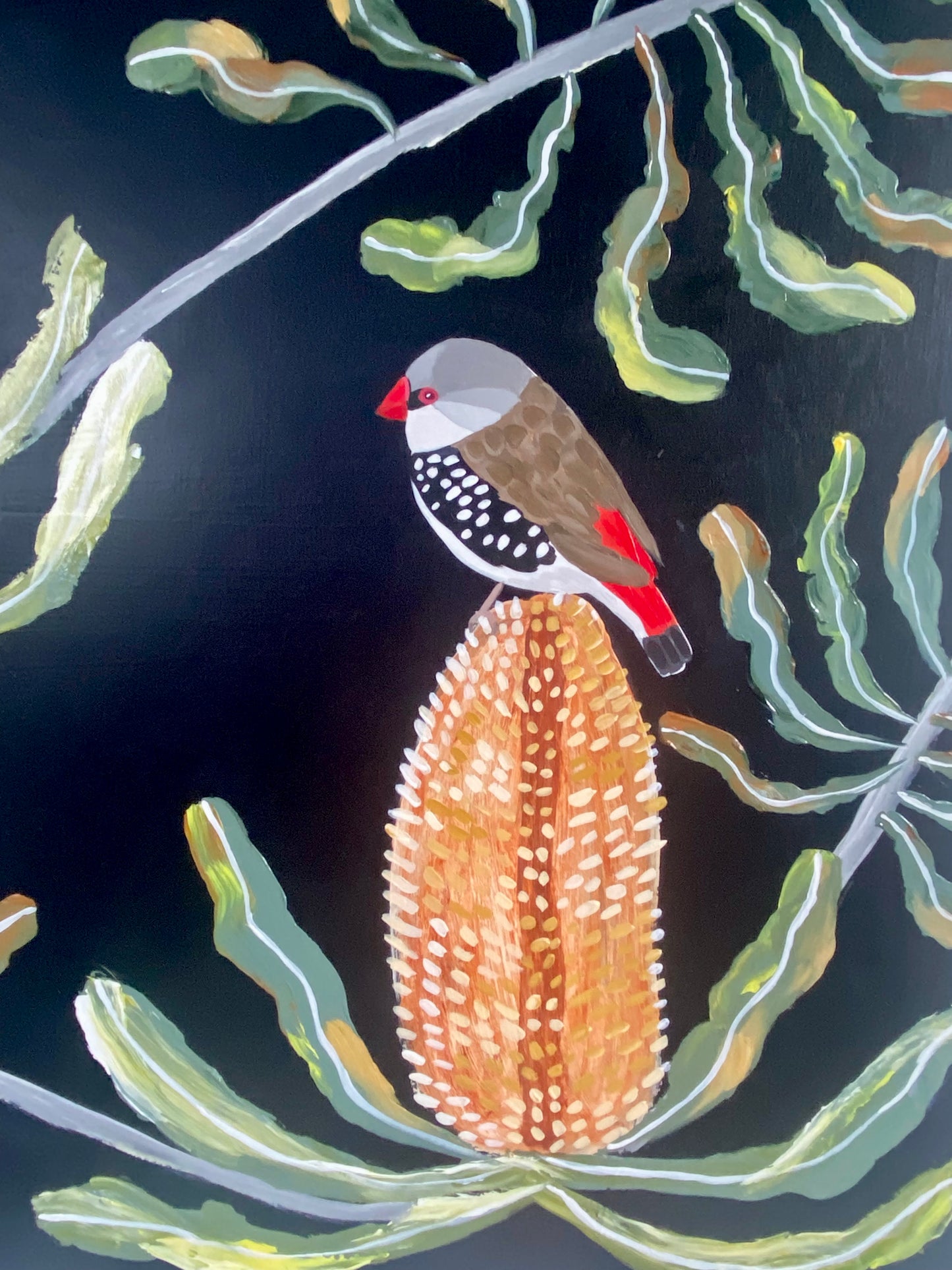 Firetail and Banksias #1